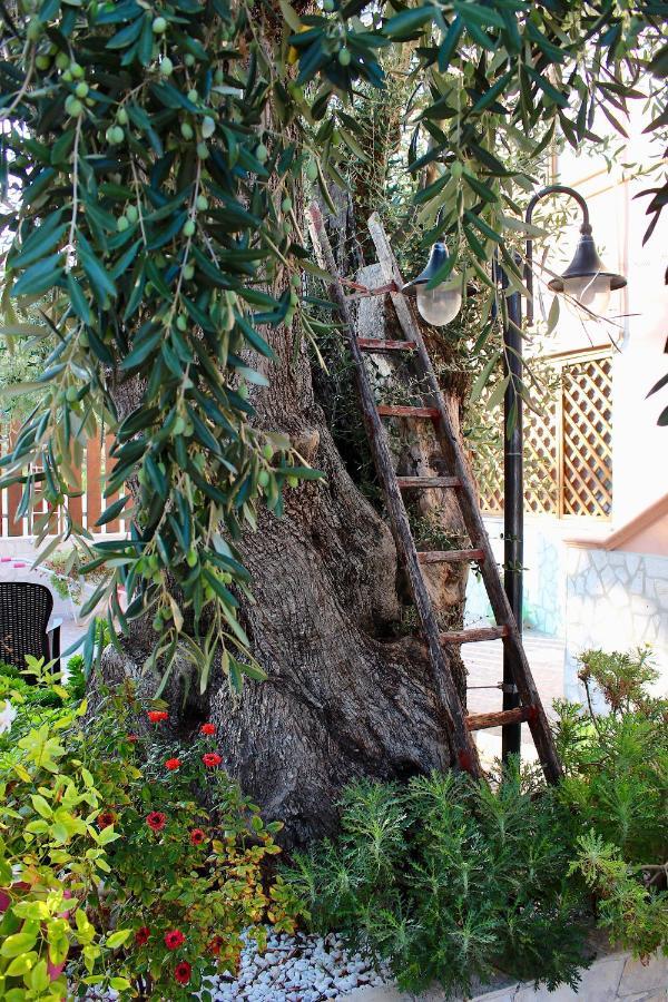 Villa Marchionna Vieste Bagian luar foto